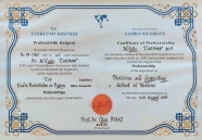 Kadın Hastalıkları ve Doğum Uzmanı Prof. Dr. Nilgün Turhan